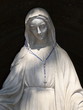 Vigrin Mary