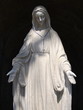 Virgin Mary