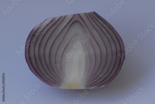 cipolla