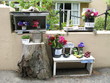 vente fleurs et légumes à Torteval-Guernesey