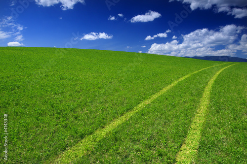 Green Field Way
