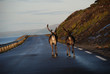 Reindeers on route Reindeers on route