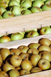 cagette de pommes