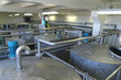 Production wine, juice and drink Production wine, juice and drink