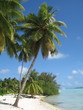 Polinesia Playa salvaje