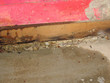 water damaged basement