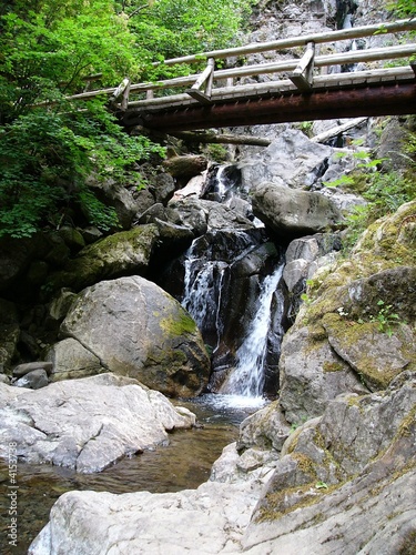 falls with bridge
