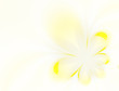 Delicate flower
