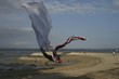 Foto: Bali - Sanur - Kite Festival Plage de Pantai Karang Bali - Sanur - Kite Festival Plage de Pantai Karang