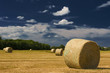 Hayroll