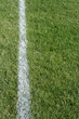 White Line Closeup