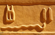Dogon signs