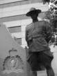 Mounted police