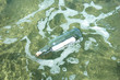 Message in a Bottle Floating