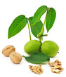 Omega 3. Noix