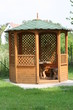 Pavillon