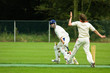cricket players cricket players