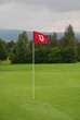 golf16