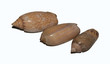 Three Shiney Seashells