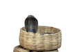 Black Cobra in a Basket Black Cobra in a Basket