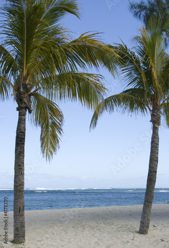 Mauritius View 1 Mauritius View 1