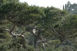 Green trees in forest Green trees in forest