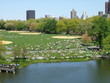 lake with grass and trees at New york lake with grass and trees at New york