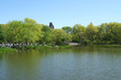Lake With GreenTrees at New York Lake With GreenTrees at New York