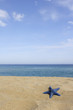 blue starfish on empty beach, corsica, france