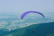 paraglider