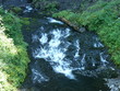 Looking Down at small water rapids