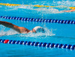 Swimmer