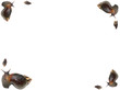 page d'escargots 