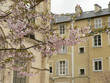 Printemps à Caen