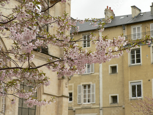 Printemps à Caen