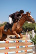 Photo: jumping jumping