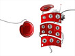 red cellular telephone