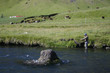 Flyfishing