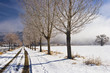 Deep Springs Ranch Road in winter