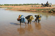 le premier bain le premier bain