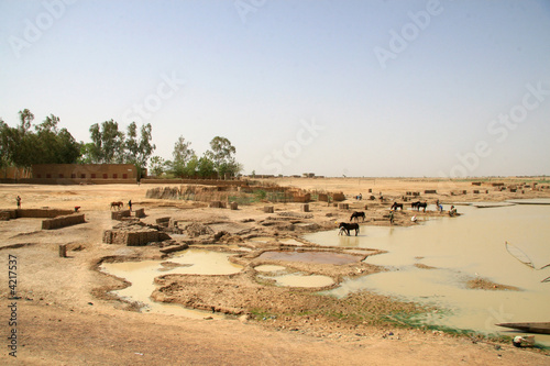 les berges de l'oued les berges de l'oued