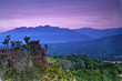 Overlooking the Ojai Valley
