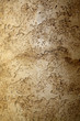 Wall Texture