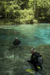 Divers in Spring