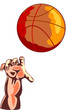 Basketball hand rebounding