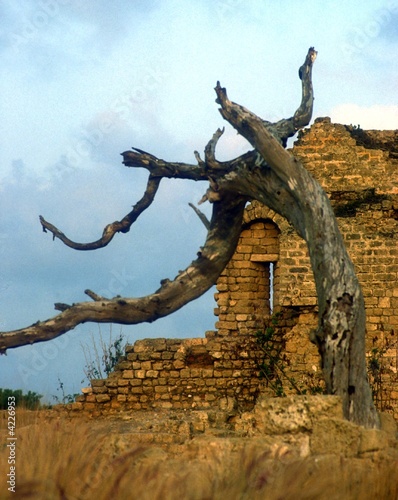 Caesarea Caesarea