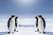 At the South pole