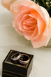 Pink Rose with Wedding Rings
