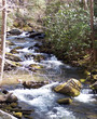 Smoky Mountain Creek