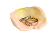 Pink Rose Pedal with Wedding Rings